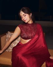 Resplendent Actress Kusha Kapila in a Maroon Embroidered Saree with Sequin Blouse Photos 03 Resplendent Actress Kusha Kapila in a Maroon Embroidered Saree with Sequin Blouse Photos 03