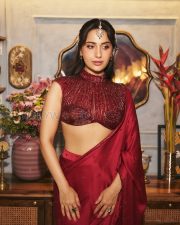 Resplendent Actress Kusha Kapila in a Maroon Embroidered Saree with Sequin Blouse Photos 05 Resplendent Actress Kusha Kapila in a Maroon Embroidered Saree with Sequin Blouse Photos 05