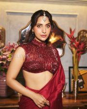 Resplendent Actress Kusha Kapila in a Maroon Embroidered Saree with Sequin Blouse Photos 06 Resplendent Actress Kusha Kapila in a Maroon Embroidered Saree with Sequin Blouse Photos 06