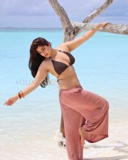 Serene Actress Nikita Sharma in a Brown Bikini Top and Dusty Rose Wide Leg Beach Pants Photos 03 Serene Actress Nikita Sharma in a Brown Bikini Top and Dusty Rose Wide Leg Beach Pants Photos 03