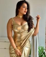 Sexy Nikita Sharma in a Golden Metallic Saree Pictures 01