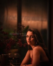 Sizzling Hot Tripti Dimri Showing Cleavage in a Silver Dress Pictures 03