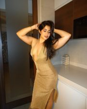 Sparkling Actress Nikita Sharma in a Gold Glitter Bodycon Dress Photos 06 Sparkling Actress Nikita Sharma in a Gold Glitter Bodycon Dress Photos 06