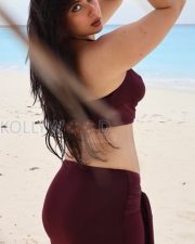 Striking Actress Nikita Sharma in a Maroon Beach Bikini Set Photos 01