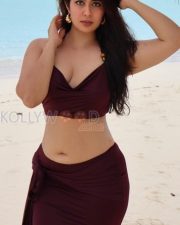 Striking Actress Nikita Sharma in a Maroon Beach Bikini Set Photos 03