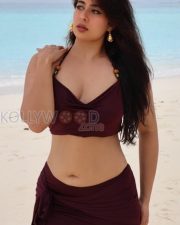 Striking Actress Nikita Sharma in a Maroon Beach Bikini Set Photos 04 Striking Actress Nikita Sharma in a Maroon Beach Bikini Set Photos 04