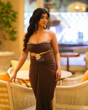 Striking Actress Pragya Nagra in a Brown Strapless Embellished Gown Photos 05 Striking Actress Pragya Nagra in a Brown Strapless Embellished Gown Photos 05