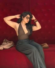 Trendsetting Actress Nikita Sharma in a Brown Halter Top with Grey Trousers Photos 01