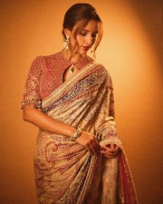 Vicky Vidya Ka Woh Wala Video Heroine Tripti Dimri in a Maroon and Blue Embellished Ajrakh Saree Photos 03 Vicky Vidya Ka Woh Wala Video Heroine Tripti Dimri in a Maroon and Blue Embellished Ajrakh Saree Photos 03