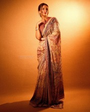 Vicky Vidya Ka Woh Wala Video Heroine Tripti Dimri in a Maroon and Blue Embellished Ajrakh Saree Photos 04 Vicky Vidya Ka Woh Wala Video Heroine Tripti Dimri in a Maroon and Blue Embellished Ajrakh Saree Photos 04