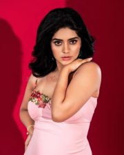 Charming Megha Shetty in a Pink Sleeveless Dress Pictures 04
