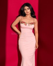 Charming Megha Shetty in a Pink Sleeveless Dress Pictures 08