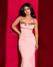 Charming Megha Shetty in a Pink Sleeveless Dress Pictures 08