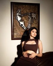 Simmering Beauty Manasa Varanasi in a Brown Cut Out Dress Photos 03
