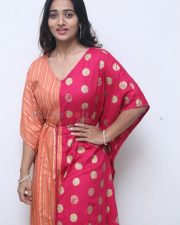 Actress Rekha Nirosha at Vasthavam Movie Teaser Launch Event Pictures 22