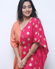 Actress Rekha Nirosha at Vasthavam Movie Teaser Launch Event Pictures 28