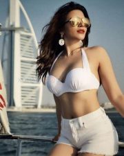 Actress Shama Sikander Hot Bikini Pictures 05