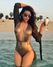 Actress Shama Sikander Hot Bikini Pictures 06