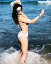 Actress Shama Sikander Hot Pictures 02