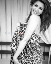 Beautiful Tv Actress Shama Sikander Photos 25 Beautiful Tv Actress Shama Sikander Photos 25