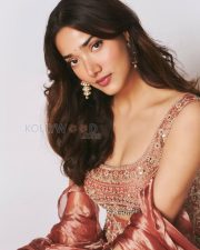 Enchanting Actress Medha Shankr in a Rose Pink Embroidered Lehenga Photos 01 Enchanting Actress Medha Shankr in a Rose Pink Embroidered Lehenga Photos 01