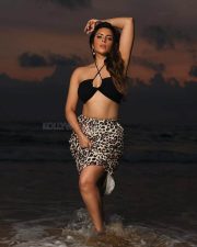 Sizzling Hot Shama Sikandar in a Black Halter Neck Bikini Top and Leopard Printed Skirt Photos 01