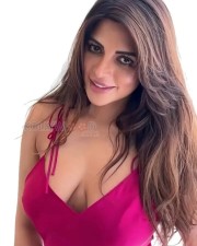 Stunning Shama Sikander Cleavage in a Pink Satin Dress Photos 02