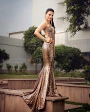 Actress Ameesha Patel Hot New Photos 04