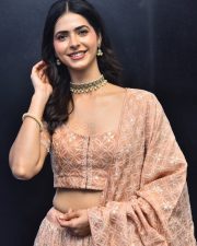 Actress Pankhuri Gidwani at Love Mouli Movie Trailer Launch Photos 05