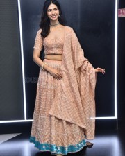 Actress Pankhuri Gidwani at Love Mouli Movie Trailer Launch Photos 06
