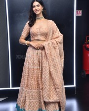 Actress Pankhuri Gidwani at Love Mouli Movie Trailer Launch Photos 07