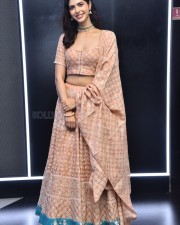 Actress Pankhuri Gidwani at Love Mouli Movie Trailer Launch Photos 24