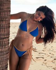 Alluring Actress Roshni Walia in a Blue Bikini Photos 04