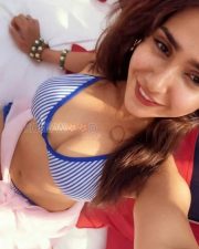 Alluring Actress Roshni Walia in a Blue and White Striped Bikini Top Photos 01