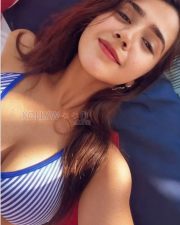 Alluring Actress Roshni Walia in a Blue and White Striped Bikini Top Photos 02