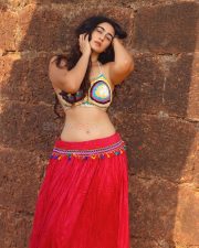 Beautiful Indian Actress Megha Shukla Navel in a Crochet Bralette Lehenga Pictures 02