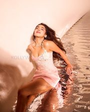 Captivating Actress Roshni Walia in a Pink Floral Embroidered Bustier Dress Photos 09