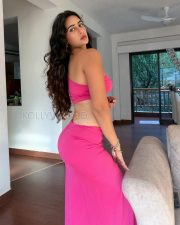 Desirable Actress Megha Shukla in a Pink Tube Crop Top And Maxi Skirt Photos 01 Desirable Actress Megha Shukla in a Pink Tube Crop Top And Maxi Skirt Photos 01