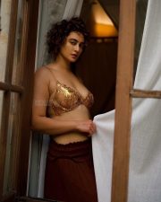 Desirable Megha Shukla Navel in a Brown Bralette and Skirt Photos 01