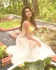 Enchanting Actress Roshni Walia in a Yellow Bustier And Sheer Tulle Skirt Photos 05