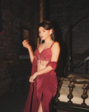 Enigmatic Actress Kanika Mann in a Burgundy Saree With Beaded Fringe Blouse Photos 05