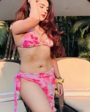 Indian Television Actress Roshni Walia Hot Bikini Photos 04