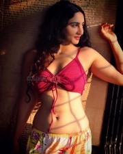 Kathal A Jackfruit Mystery Actress Megha Shukla Sexy Pictures 06