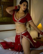 Sensual Megha Shukla Cleavage in a Red Gold Embellished Lehenga Choli Photos 04