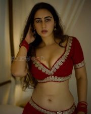 Sensual Megha Shukla Cleavage in a Red Gold Embellished Lehenga Choli Photos 05