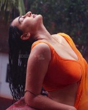 Sensual Megha Shukla in a Semi Transparent Orange Saree with a Matching Sleeveless Orange Blouse Photos 03
