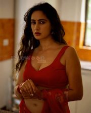 Sultry Actress Megha Shukla in a Red Floral Saree With Red Blouse Photos 03