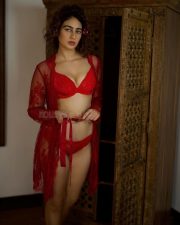 Sultry Megha Shukla Cleavage in a red lace bra and gown Photos 04