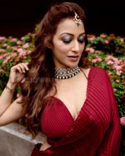 Sunayana Fozdar Sexy Red Saree Photo 01