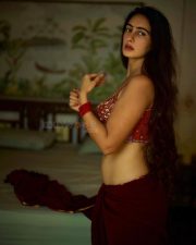 Tempting Beauty Megha Shukla in a Red Rust Sleeveless Blouse with a Dark Maroon Red Saree Skirt Pictures 03